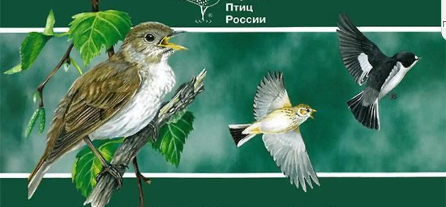 Птицы Московской области