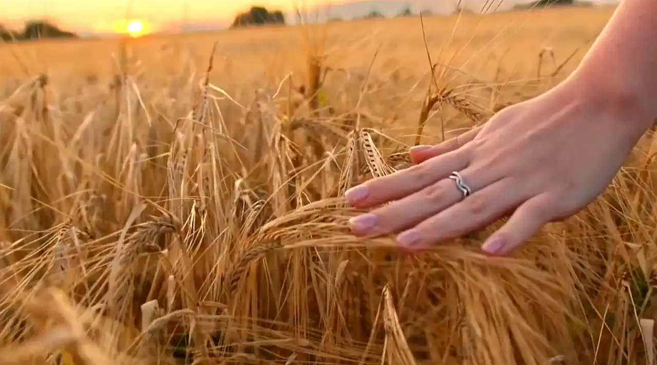 Фильм Суздаль. 1000 лет и один день