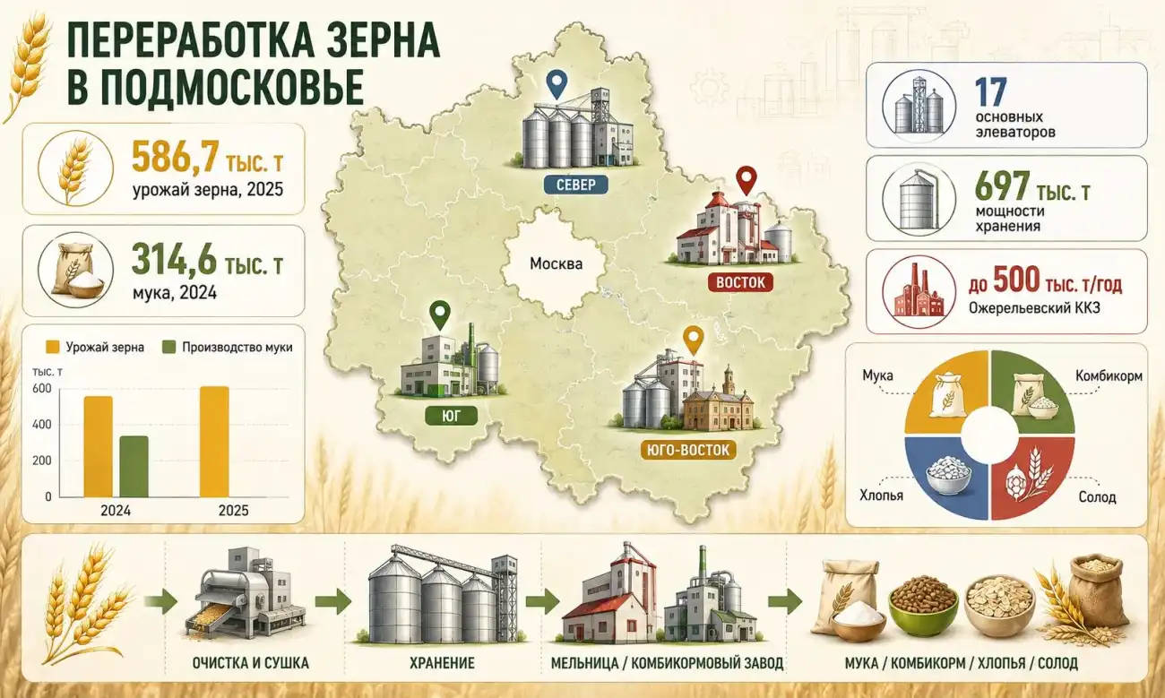 Переработка зерна в Московской области